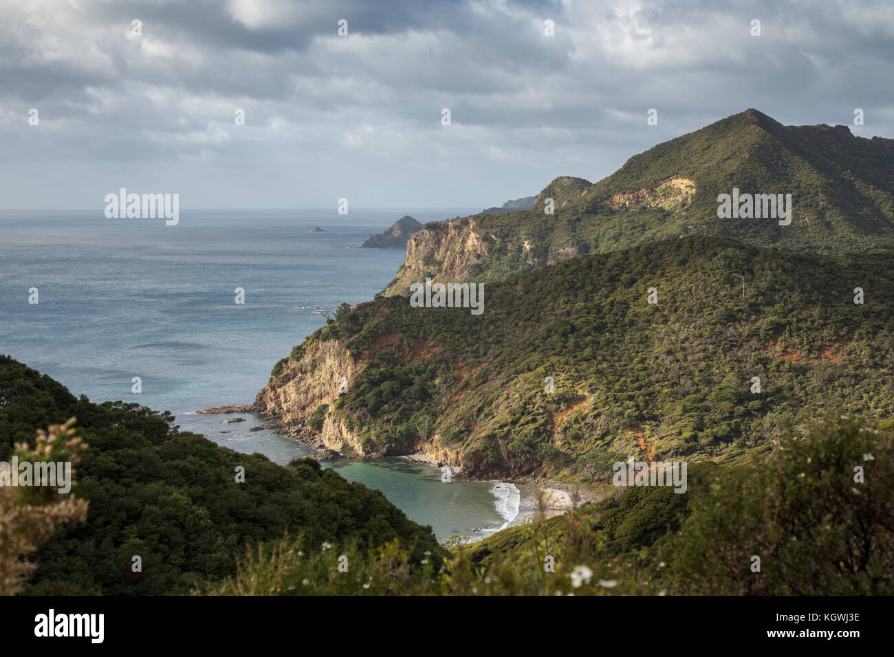 Great Barrier Island Banque D'Images