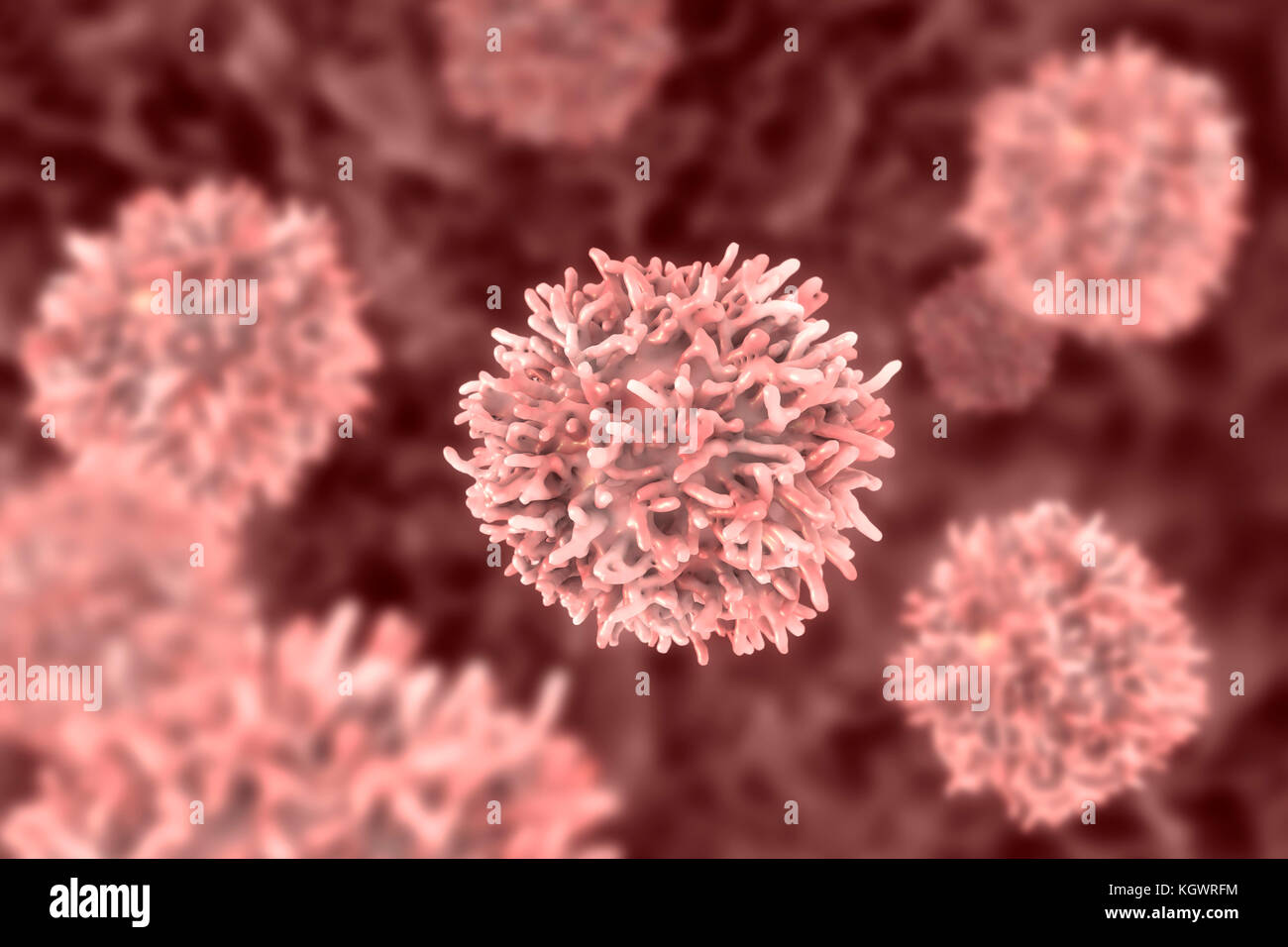 Les cellules de cancer de la thyroïde, l'illustration de l'ordinateur. Banque D'Images