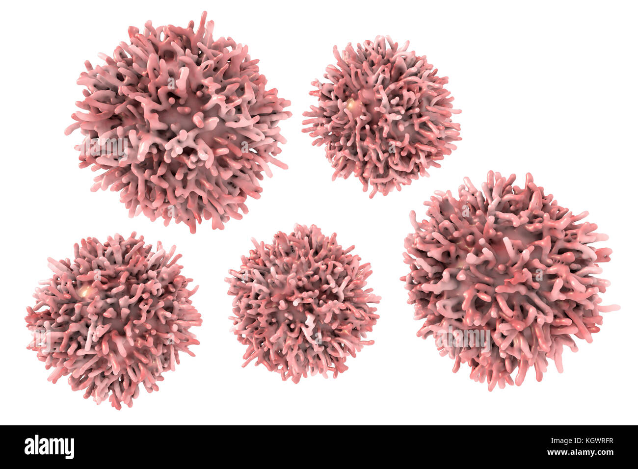 Les cellules de cancer de la thyroïde, l'illustration de l'ordinateur. Banque D'Images