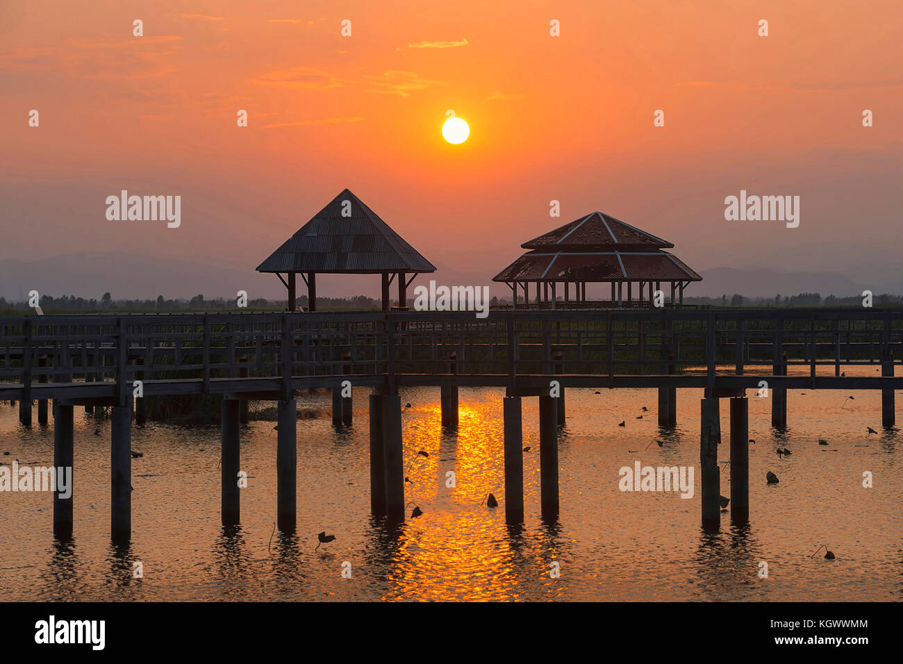 Bung bua à Khao Sam roi yod national park, Thaïlande Banque D'Images