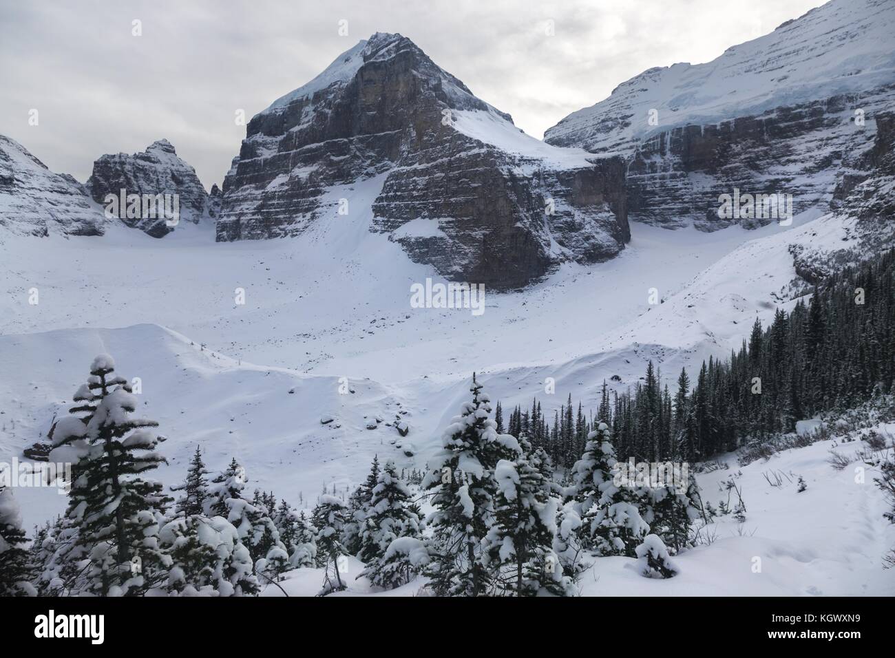 Paysage d'hiver montagnes Rocheuses enneigées Plaine des six glaciers sentier de randonnée sentier des avalanches Lac Louise Parc national Banff Alberta Rocheuses canadiennes Banque D'Images