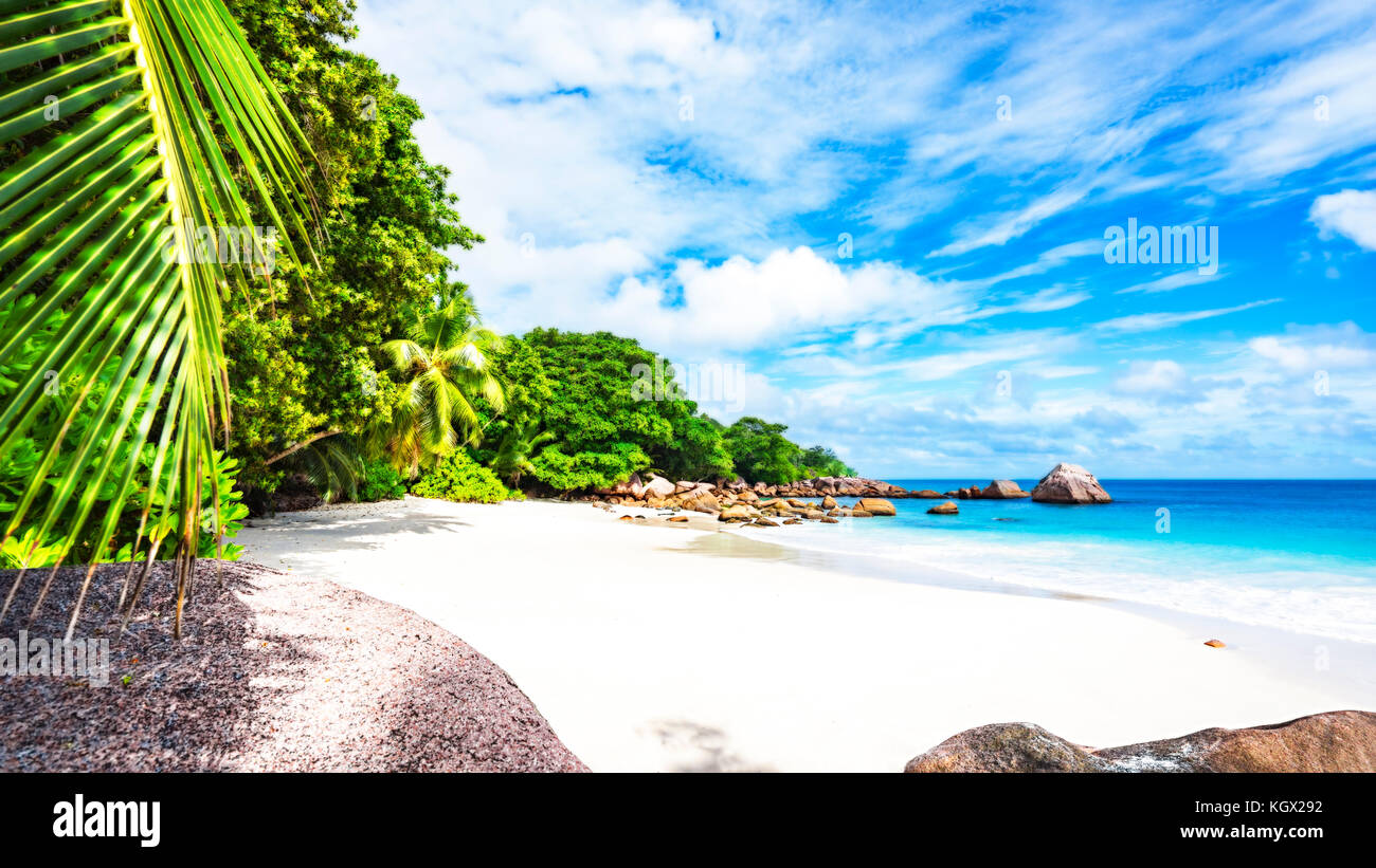 L'eau turquoise, rochers de granit et de palmiers dans le sable blanc sur la plage de Paradise sur l'anse lazio aux Seychelles Banque D'Images