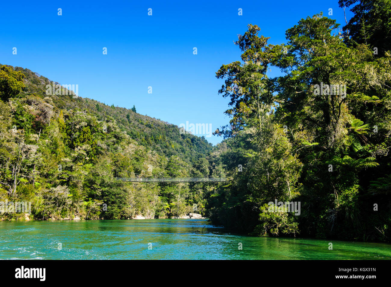 Swinging bridge, abel tasman national park, South Island, New Zealand Banque D'Images