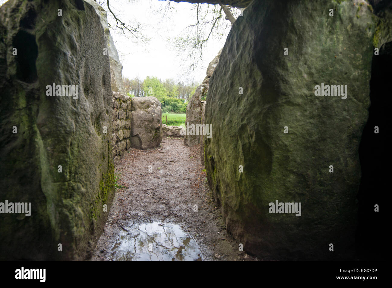 Wayland Smithy près de White Horse Hill, Ridgeway, Uffington Banque D'Images