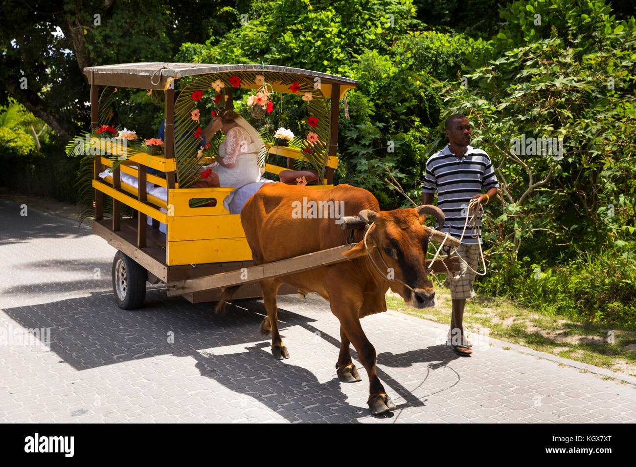 Les Seychelles, La Digue, La Passe, le transport traditionnel, mariée en charrette sur la façon de mariage Banque D'Images Les Seychelles, La Digue, La Passe, le transport traditionnel, mariée en charrette sur la façon de mariage Banque D'Images