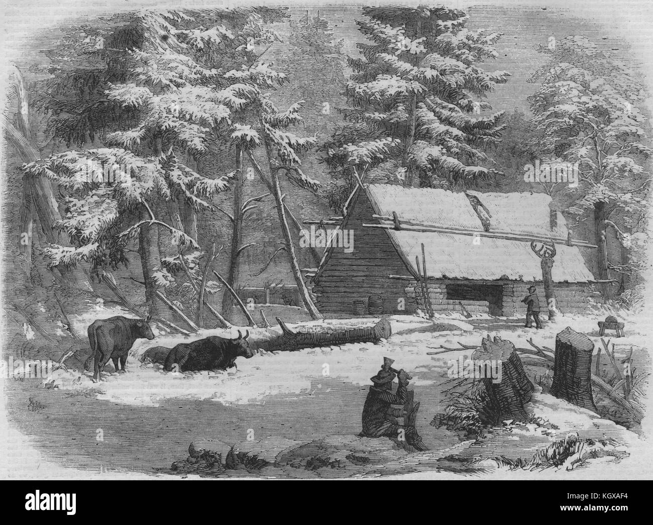 La vie de bûcheron au Nouveau-Brunswick - le camp de bûcheron, chambre. Canada 1858. L'Illustrated London News Banque D'Images