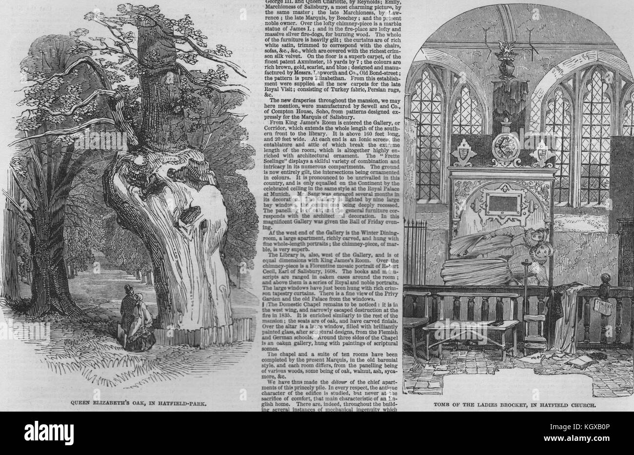 La reine Elizabeth's Oak, Hatfield Park ; Brocket Mesdames tombe, Hatfield 1846 Église. L'Illustrated London News Banque D'Images