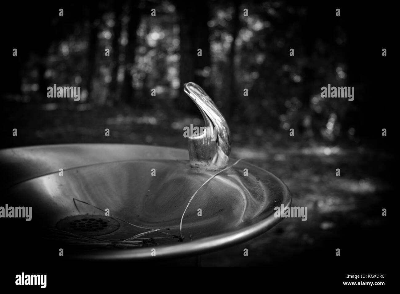 Fontaine d’eau Banque D'Images