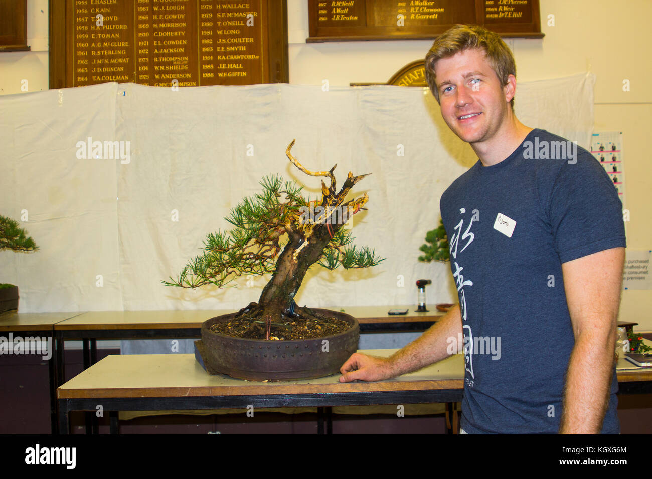 Bjorholm Bjorholm au début de la création d'un bonsai de PIN écossais (Pinus Sylvestris) lors d'une manifestation publique à Belfast, en Irlande du Nord Banque D'Images