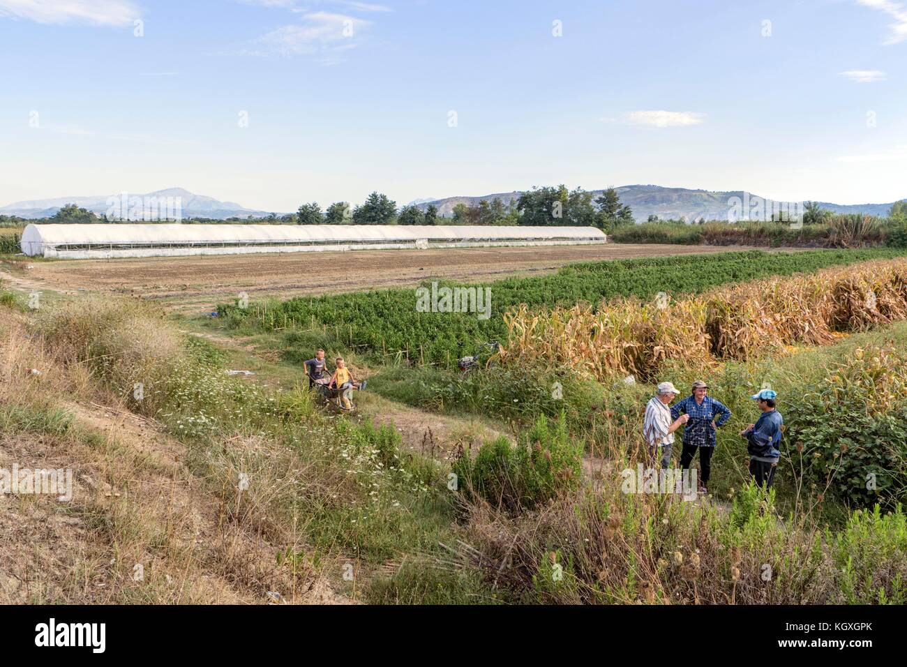 Les canaux d'irrigation des aliments provenant de l'Vjosa charge une gamme agricole située dans l'ouest des plaines de Fier. Banque D'Images