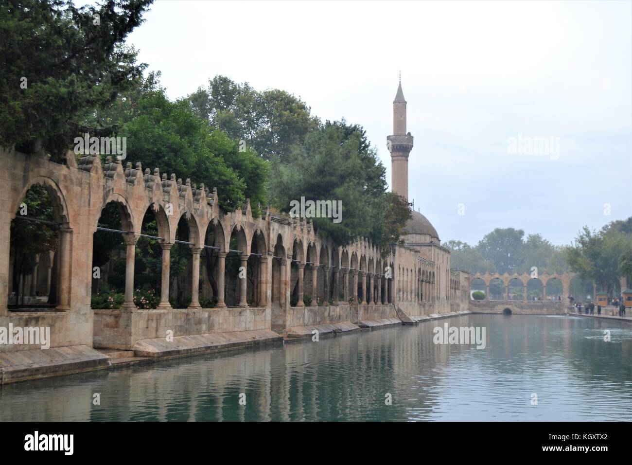 Piscine d'Abraham Sanliurfa, Turquie Banque D'Images