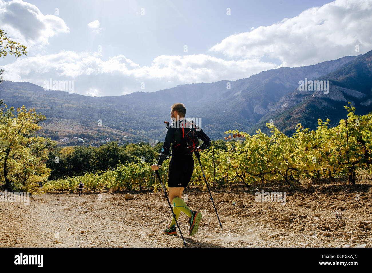 L'homme sportif runner tournant sur Sun Valley Vineyard au cours de Crimée х exécuter Banque D'Images