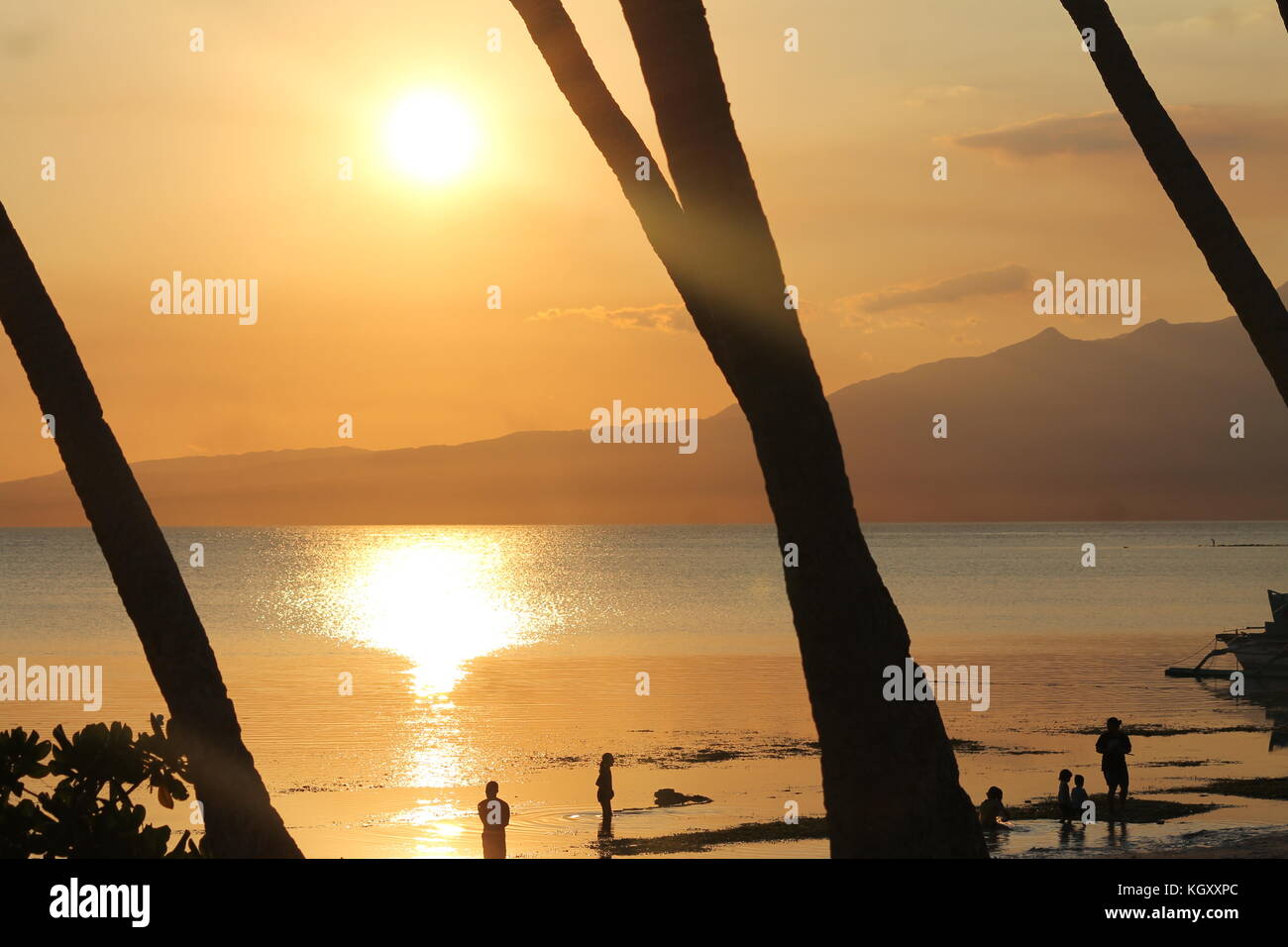 Silhouettes contre l'été tropical sunset Banque D'Images