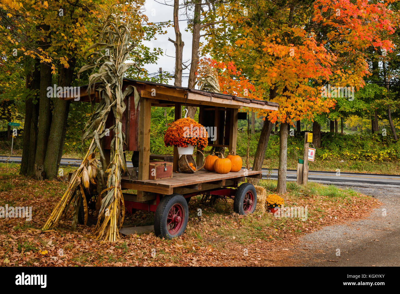 Ferme stand routière à l'automne, Lithgow, New York Banque D'Images
