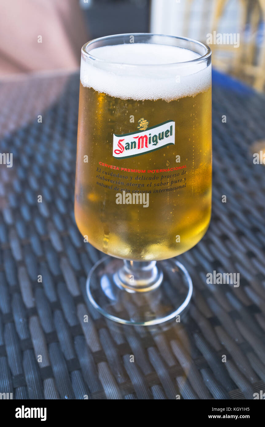 Dh bière San Miguel EUROPE verre de bière blonde Banque D'Images