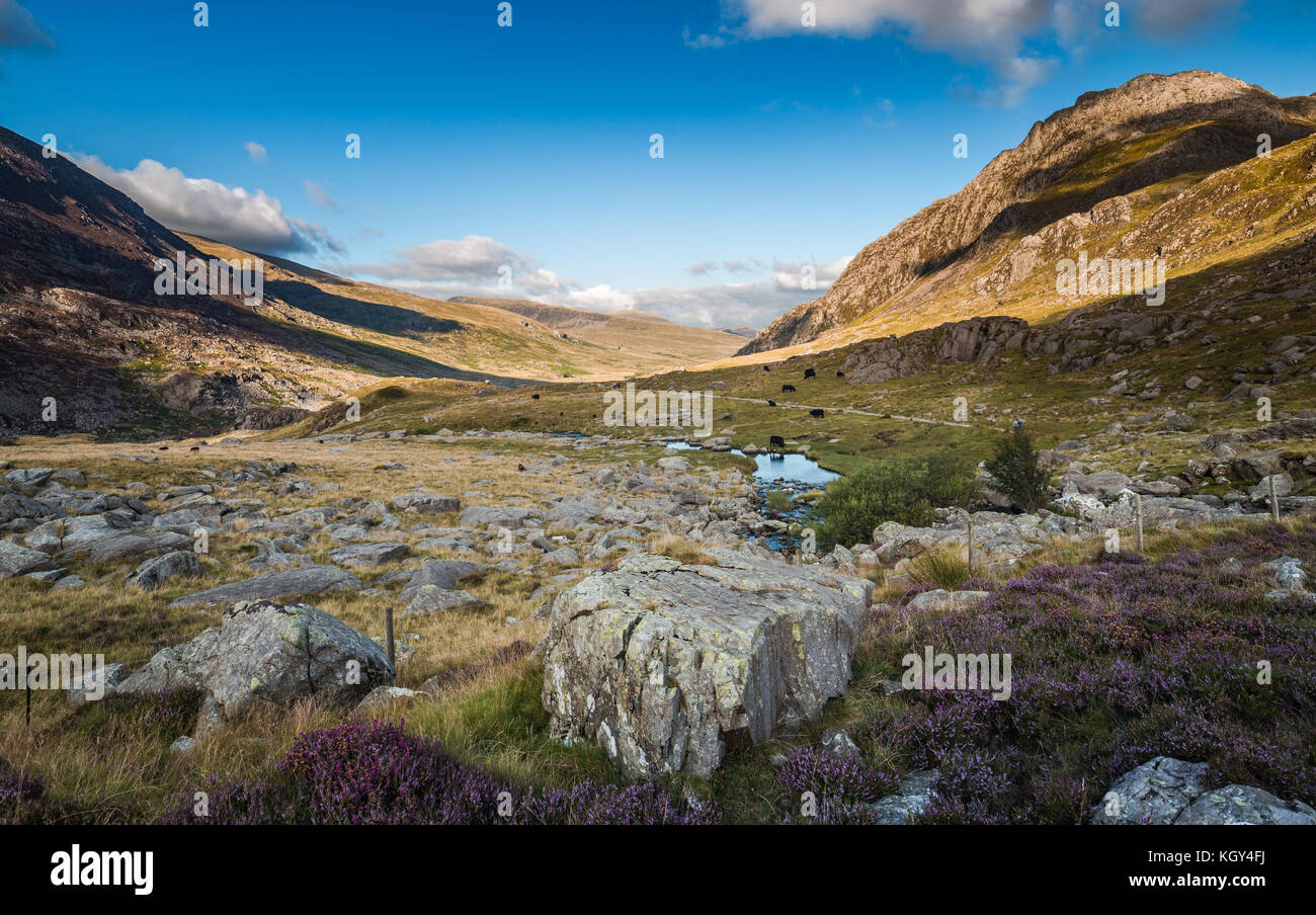 Scenic Llyn Idwal Vallée à l'été, le parc national de Snowdonia dans le Nord du Pays de Galles, Royaume-Uni Banque D'Images