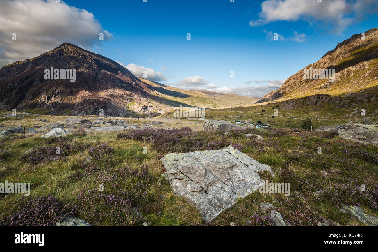 Ogwen Valley Llyn pittoresque à l'été dans le Parc National de Snowdonia au Pays de Galles, Royaume-Uni Banque D'Images