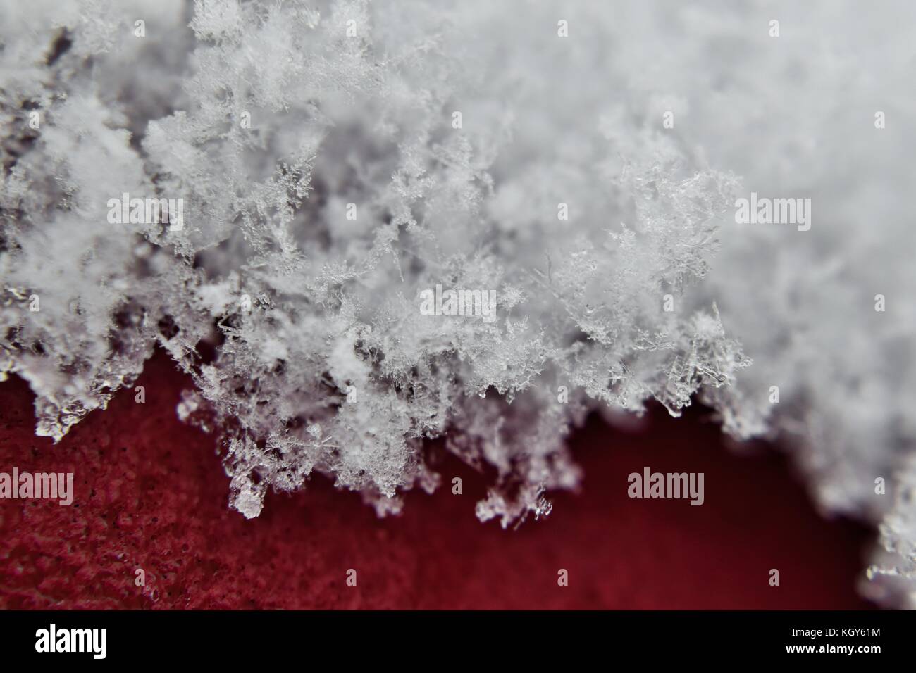 Close up de flocons de neige précoce au cours de la surface rouge Banque D'Images