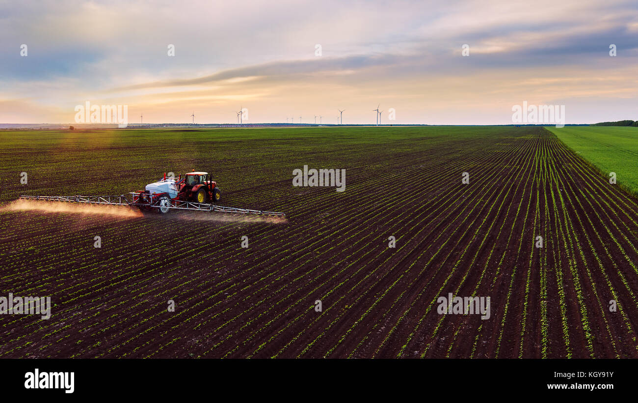 Domaine de la pulvérisation du tracteur au printemps ,vue aérienne Banque D'Images