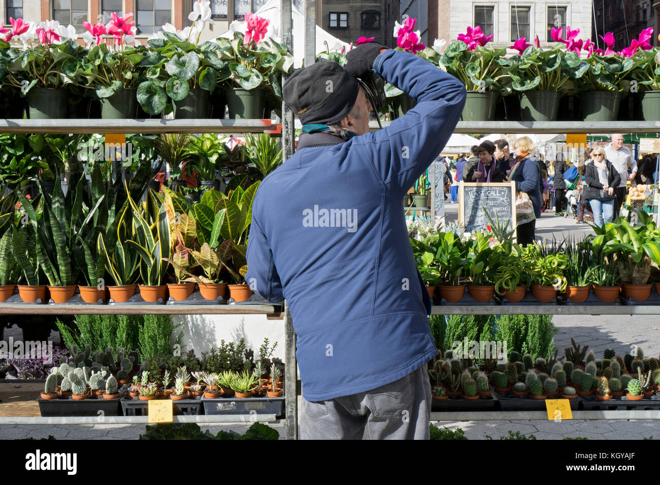 Un photographe prend des photos de personnes âgées des plantes colorées à l'Union Square Green Market à New York City. Banque D'Images