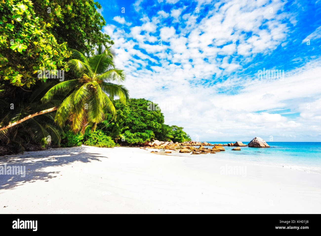 L'eau turquoise, rochers de granit et de palmiers dans le sable blanc sur la plage de Paradise sur l'anse lazio aux Seychelles Banque D'Images