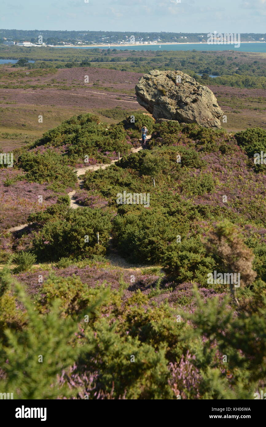 Le Agglestone, Dorset, UK Banque D'Images