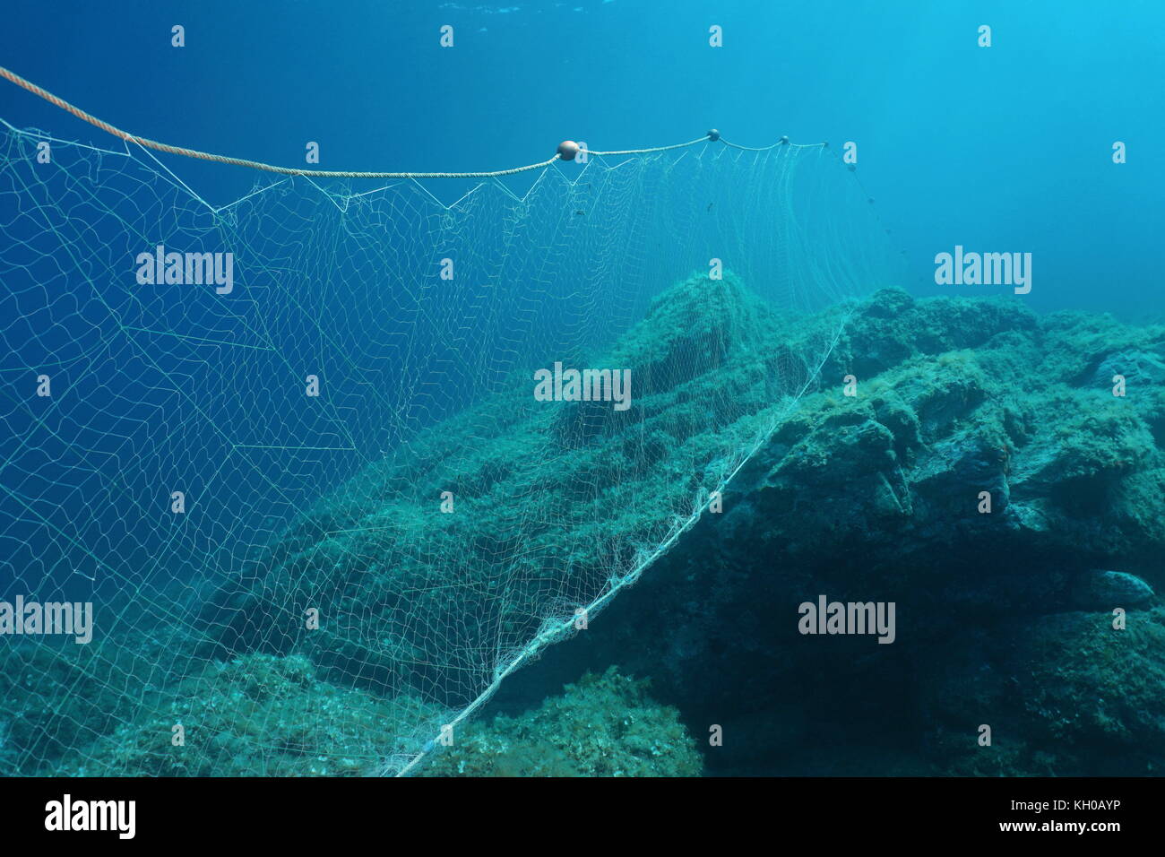 Des fonds marins rocheux sous-marin avec un filet de pêche (filet maillant) dans la mer méditerranée, cap de Creus, Cadaqués, Catalogne, Costa Brava, ESPAGNE Banque D'Images