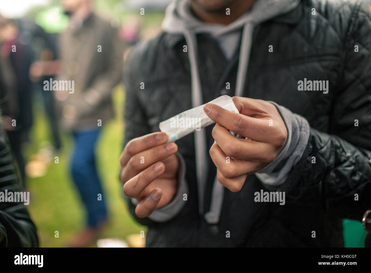 Un activiste de cannabis roule un pot commun aux célébrations annuelles du Pro Cannabis Rally 2014 à Hyde Park à Londres. ROYAUME-UNI 20/04 2014. Banque D'Images