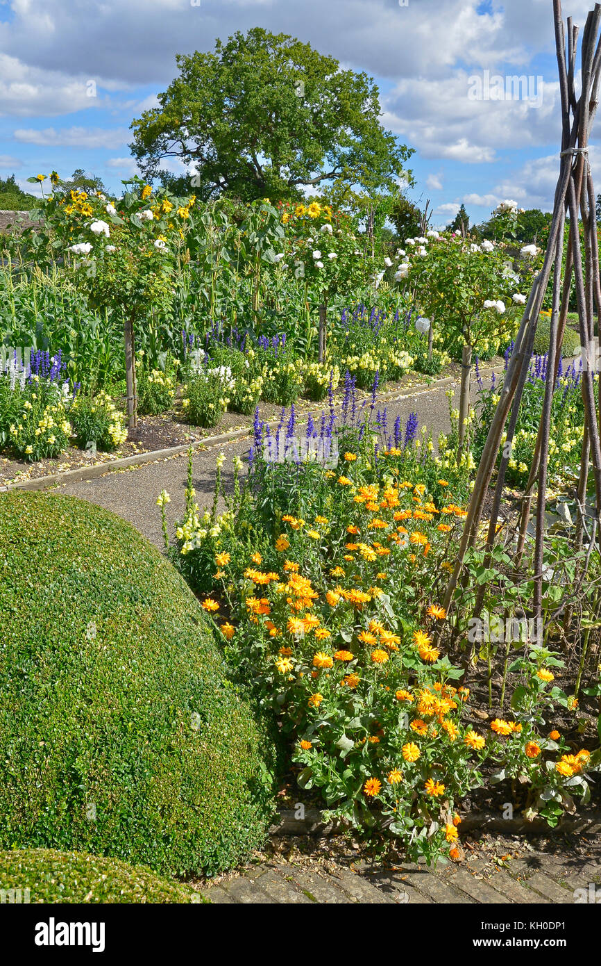 Un grand potager avec des plantations de légumes et fleurs y compris la salvia, soucis et antirrhinums Banque D'Images