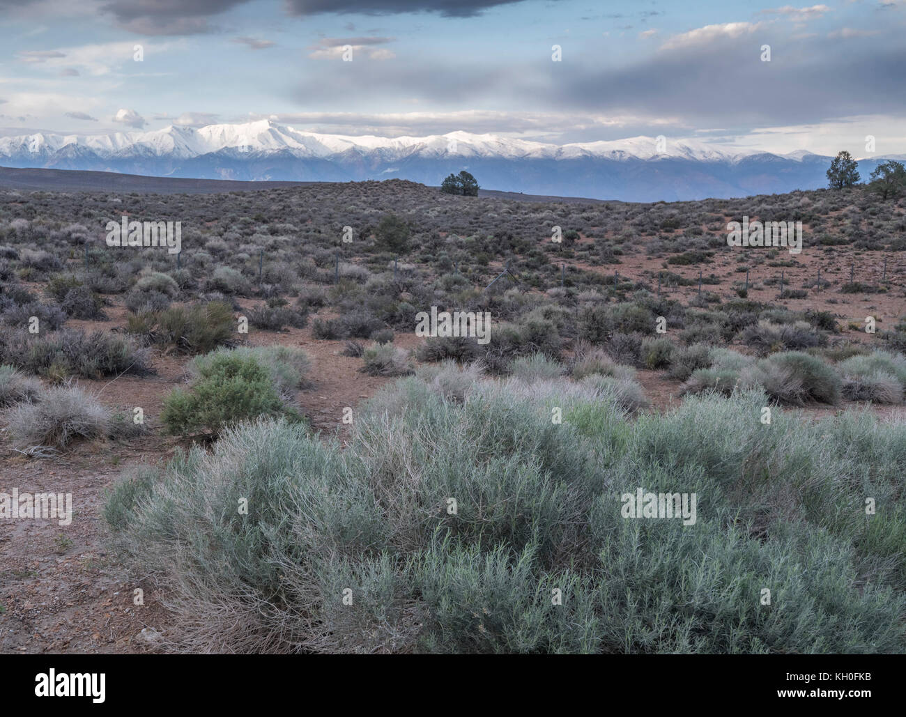 Les montagnes de la Sierra Nevada au stand volcanique spectaculaire Tablelands à Bishop, CA. Banque D'Images