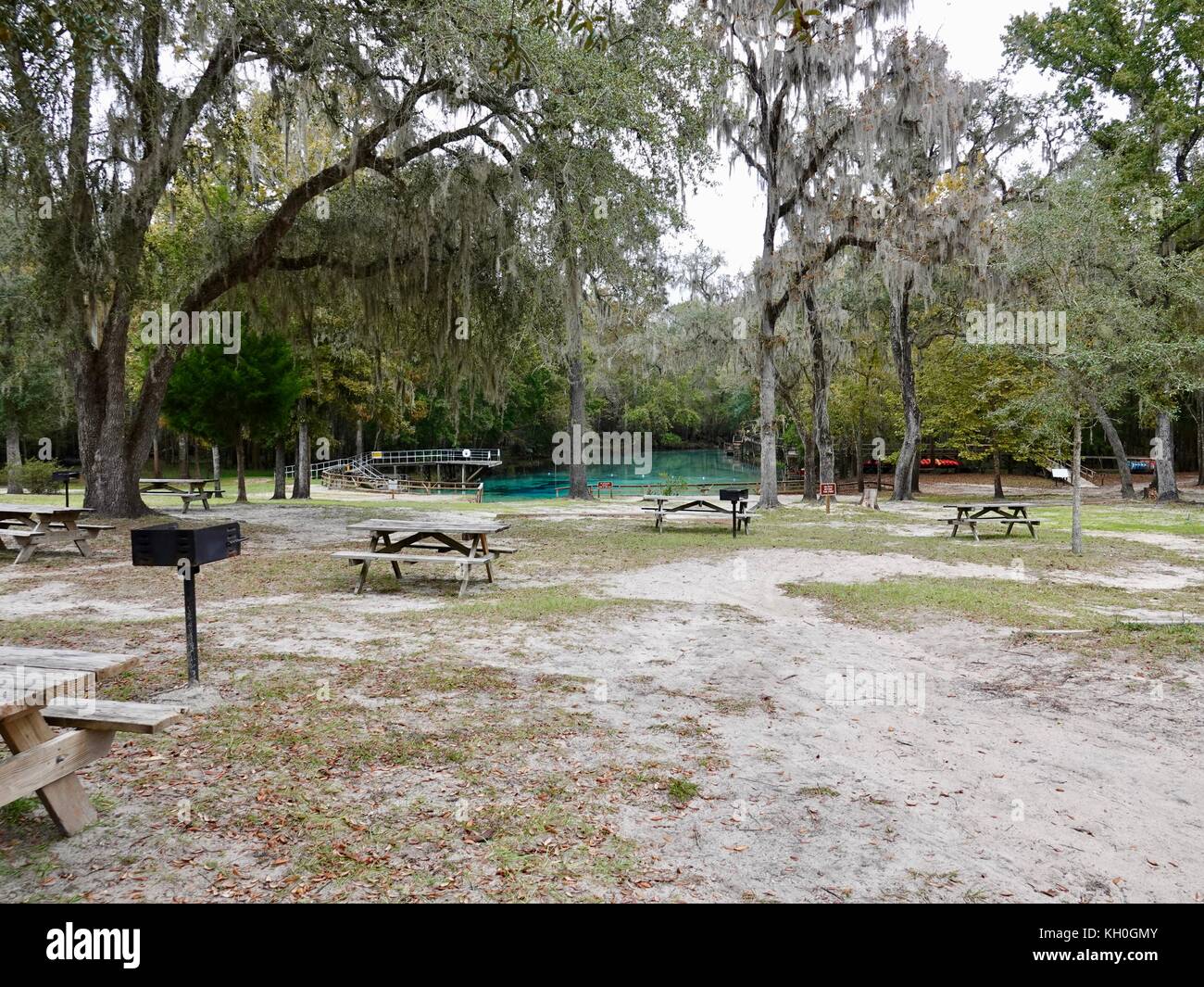 Gilchrist, Blue Springs State Park, le long de la Santa Fe River, comté de Gilchrist, Florida, USA Banque D'Images