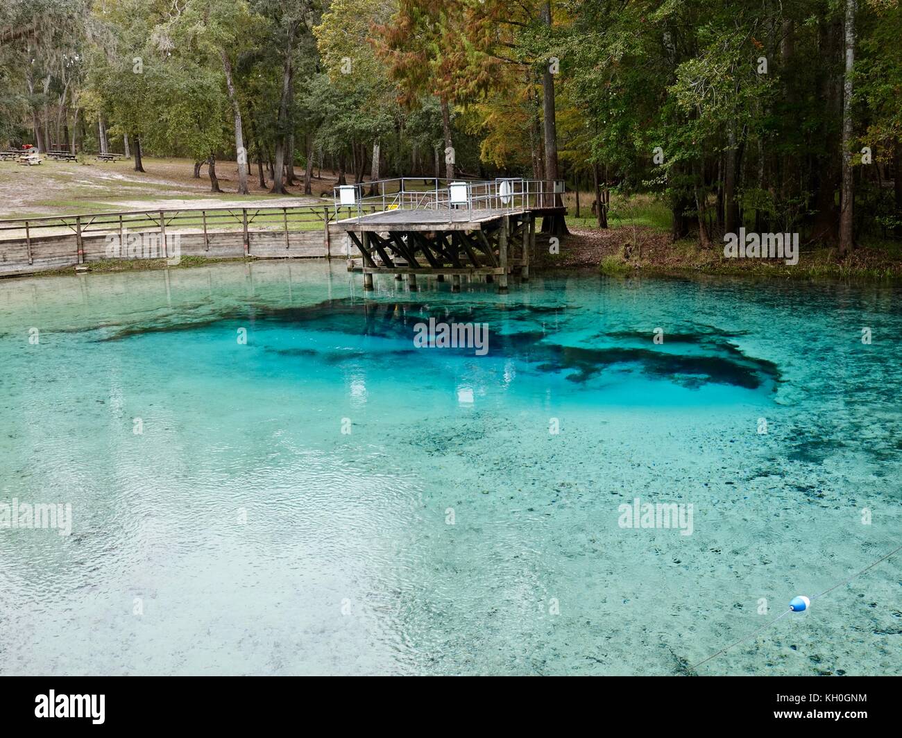 Gilchrist, parc d'état de Blue Springs, Florida, USA Banque D'Images