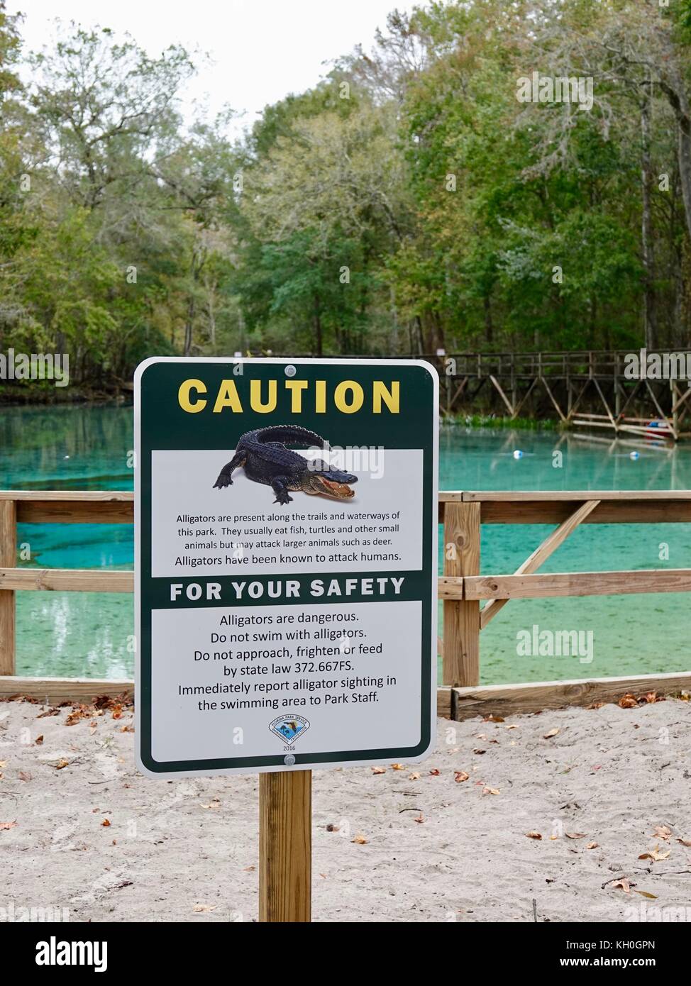 Avertissement signe nageurs à regarder dehors pour les alligators.  Gilchrist, parc d'état de Blue Springs, comté de Gilchrist, Florida, USA  Photo Stock - Alamy