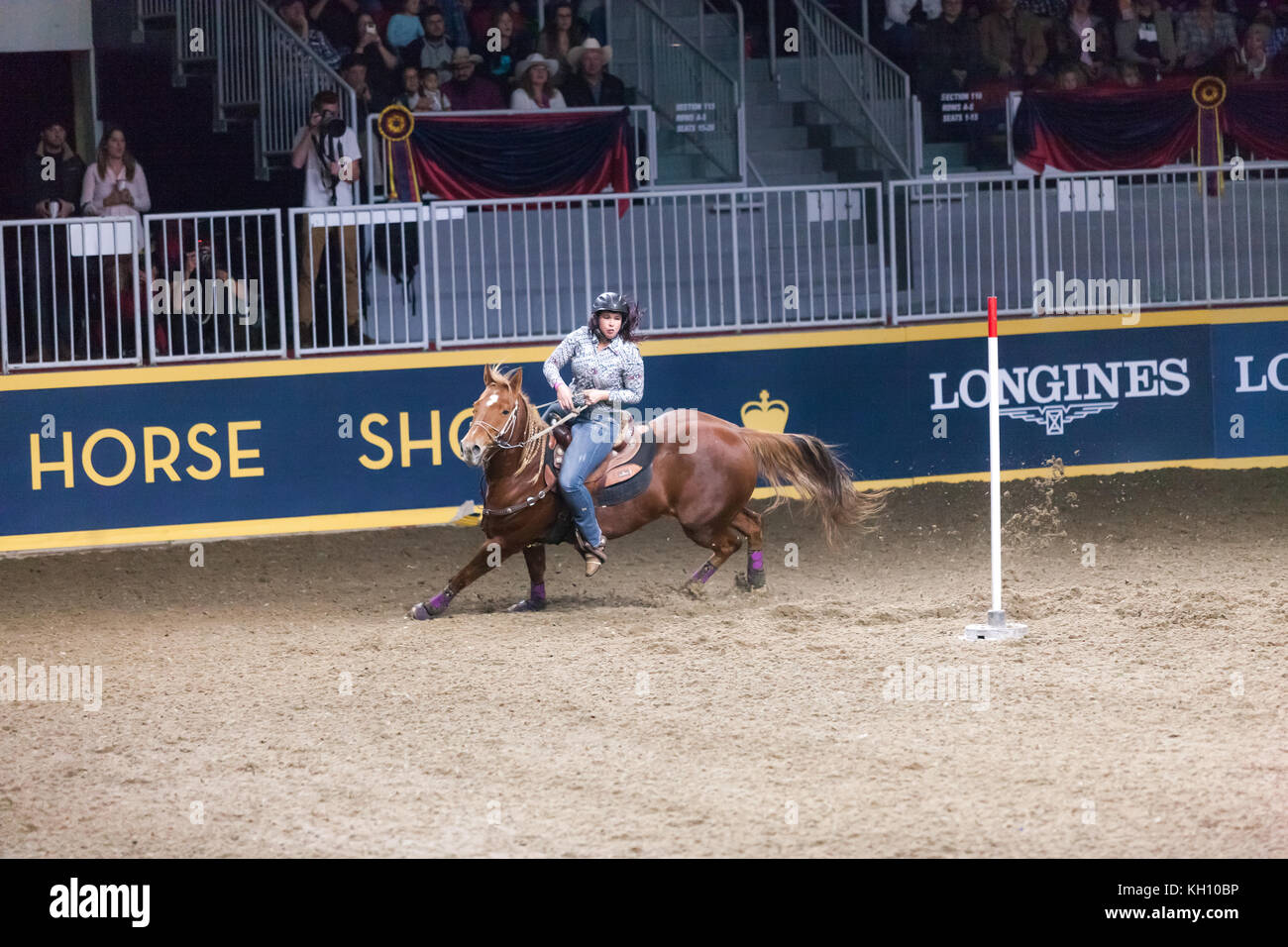 Toronto, Canada - le 12 novembre 2017. La 95e Foire royale d'hiver enveloppé de ses 10 jours avec le très populaire en vedette rodéo riders de partout en Amérique du Nord. Credit : Mark Spowart/Alamy Live News Banque D'Images