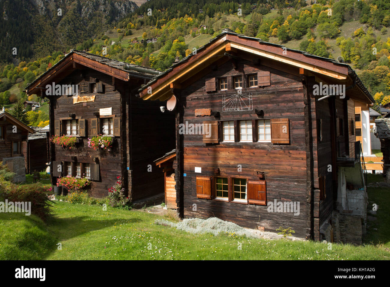 BLATTEN, SUISSE - SEPT. 28, 2017 : deux grands chalets suisses traditionnels en bois avec une forêt d'automne en arrière-plan. Banque D'Images