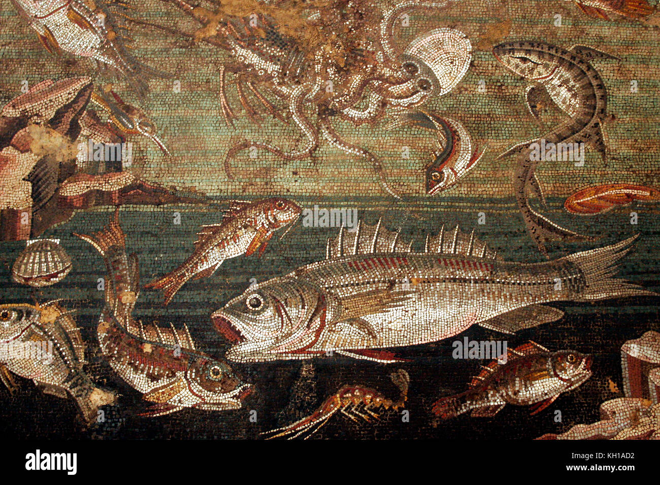 De poissons, de poulpes, mosaïque, Pompéi, italie Photo Stock Alamy