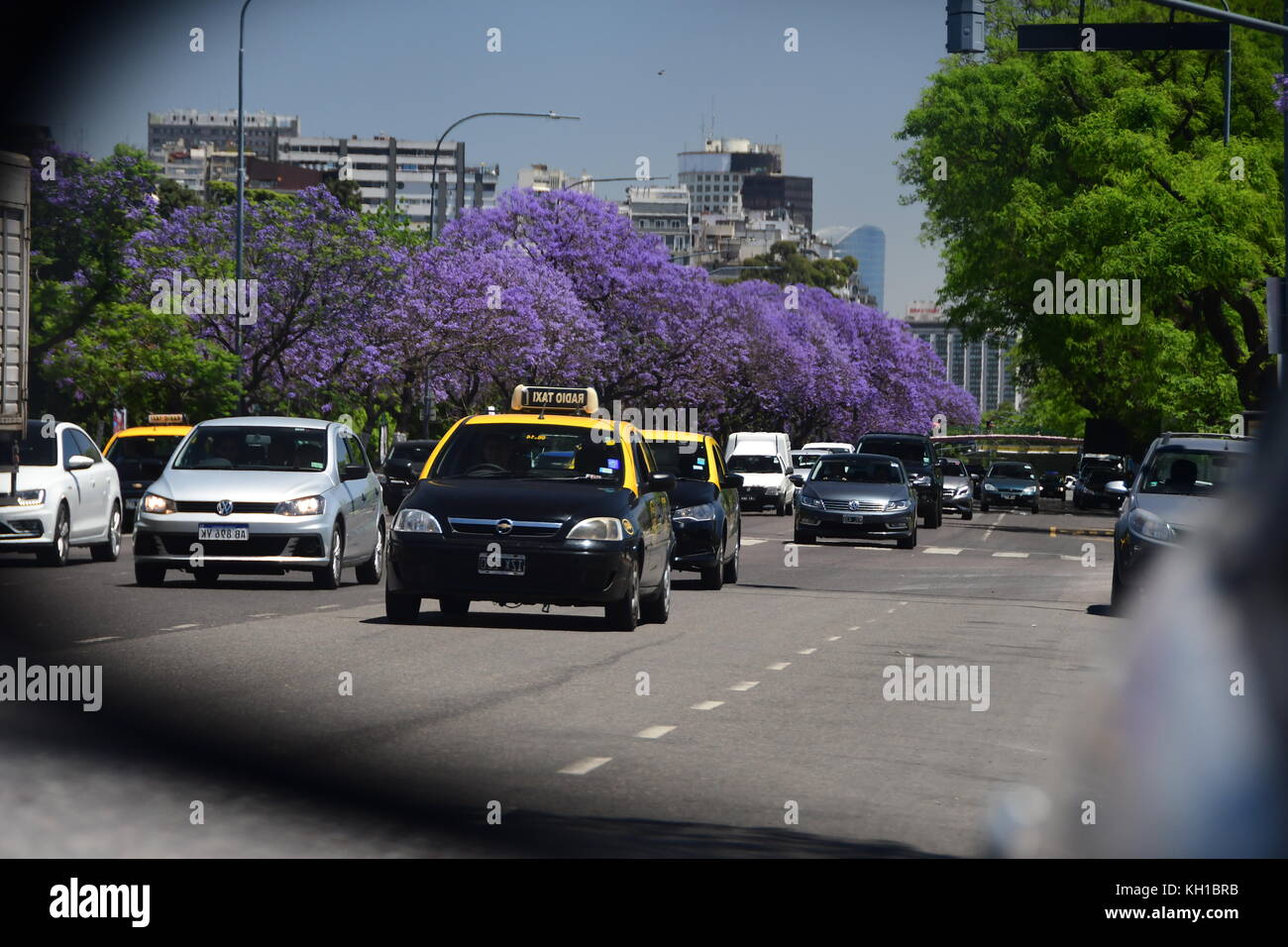 Voir de taxi et d'autres voitures sur l'avenue bordée d'arbres à buenos aires comme vu dans un miroir de voiture. violet jacarandas en fleur. Banque D'Images