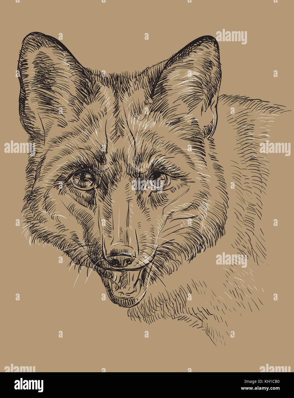 Vector dessin portrait de fox en noir et blanc isolé sur fond beige Illustration de Vecteur