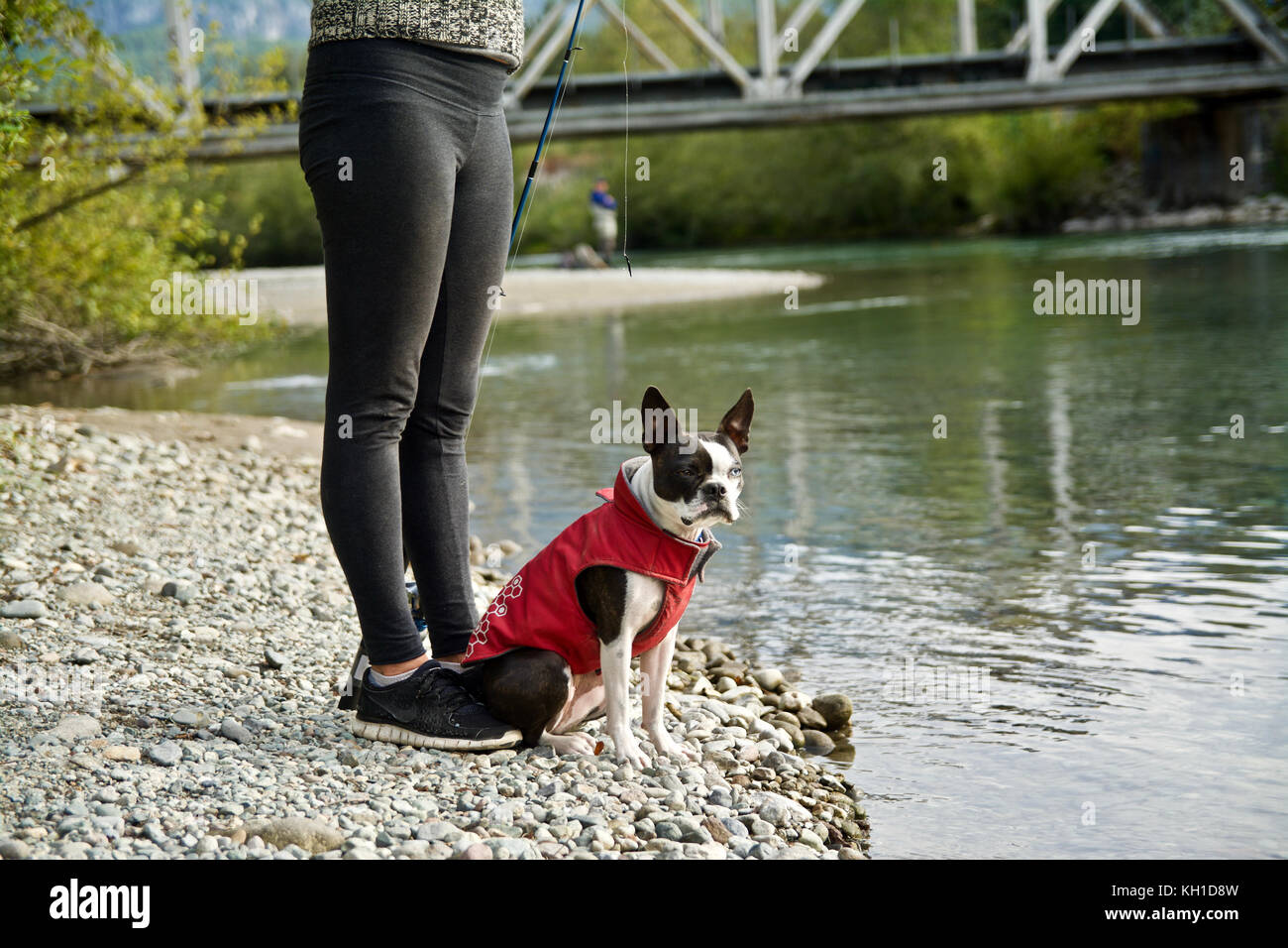 Un petit chien portant une veste rouge se trouve près de Green River Banque D'Images