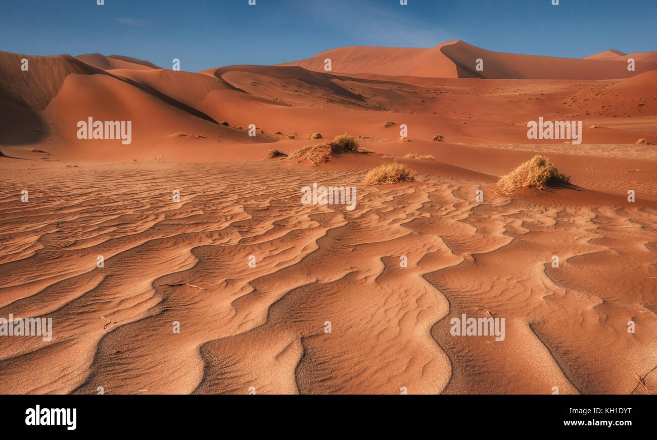 Vue rapprochée des lignes principales, grains de sable et de grandes dunes de sable rouge du désert du namib, sossusvlei, Namibie. Banque D'Images