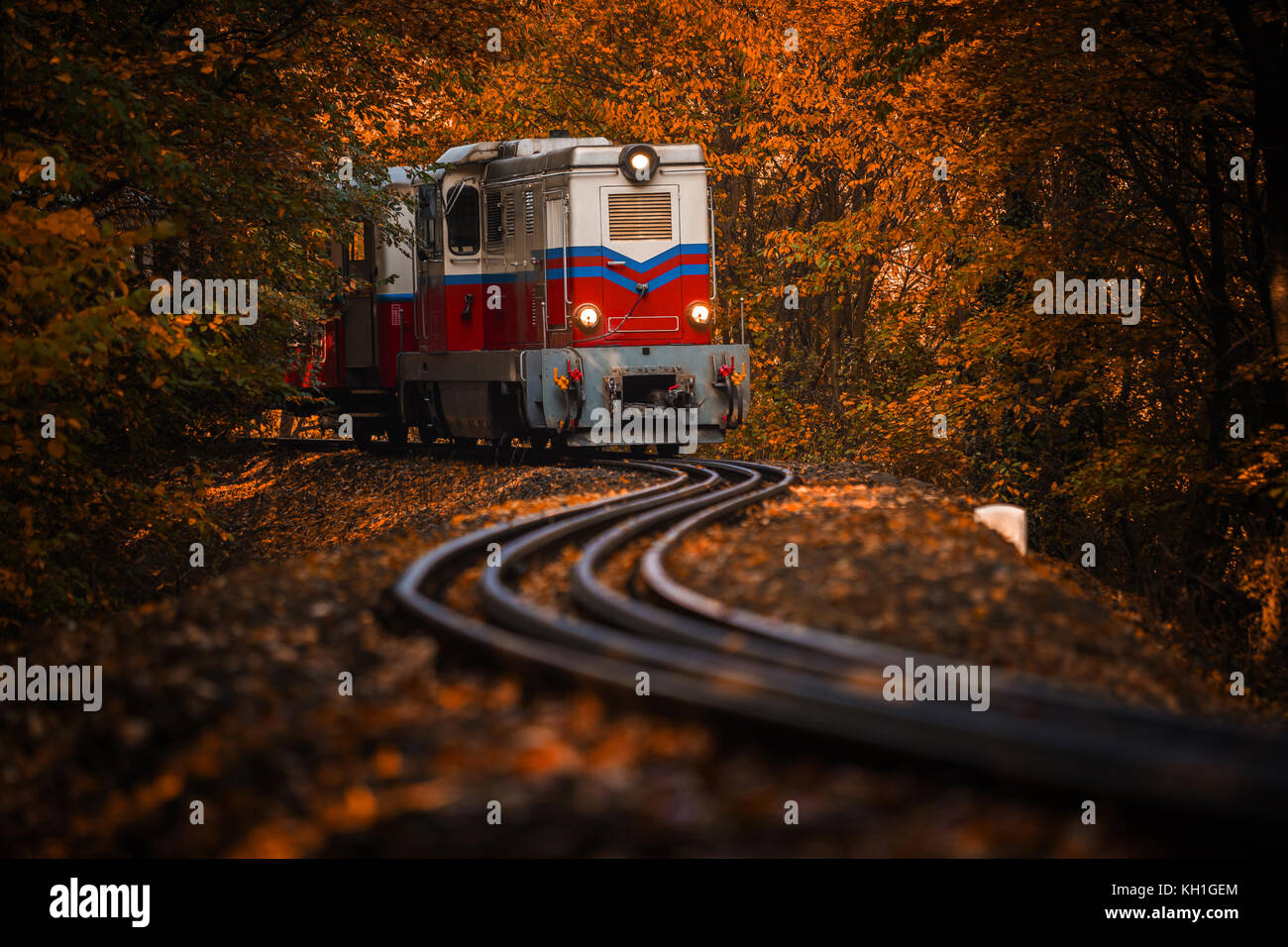 Budapest, Hongrie - Magnifique forêt d'automne avec feuillage et vieux train coloré sur la piste dans les bois hongrois de Huvosvolgy Banque D'Images