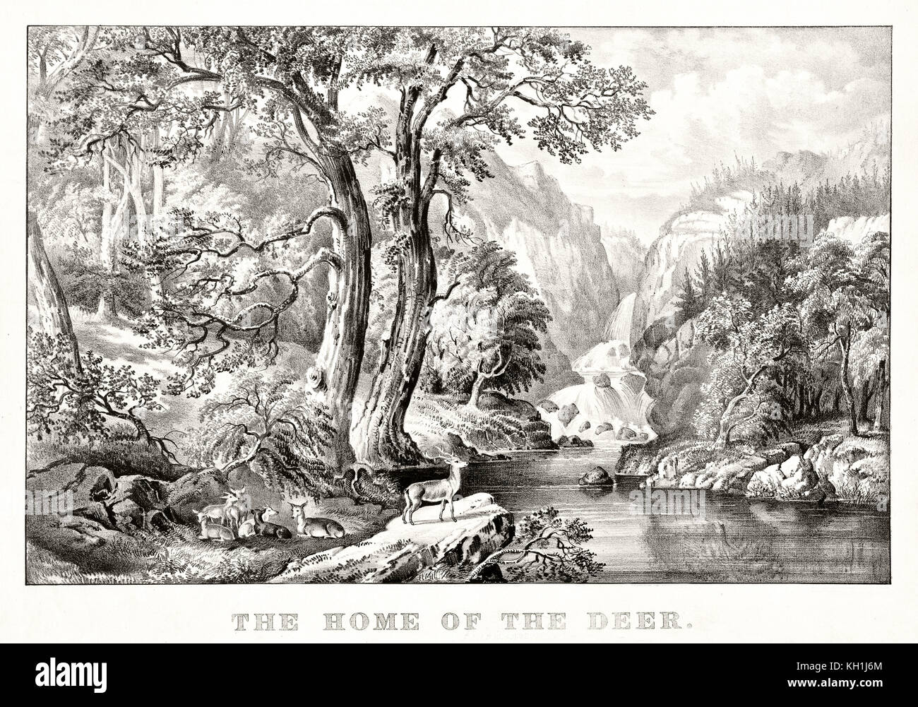 Vieille illustration cerf dans son environnement naturel. Par Currier & Ives, publ. à New York, 1870 Banque D'Images