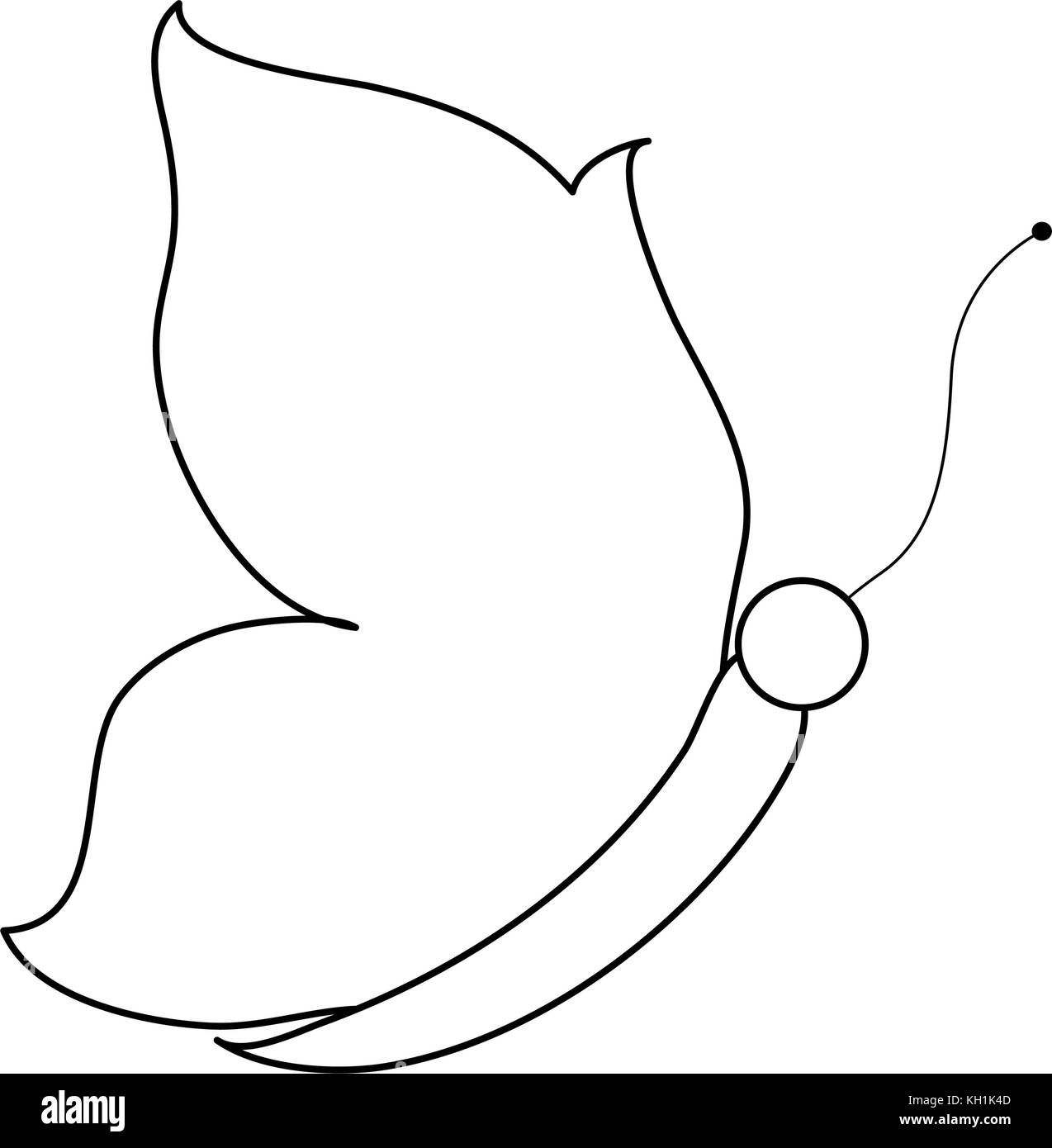 Papillon Belle Cote Illustration de Vecteur