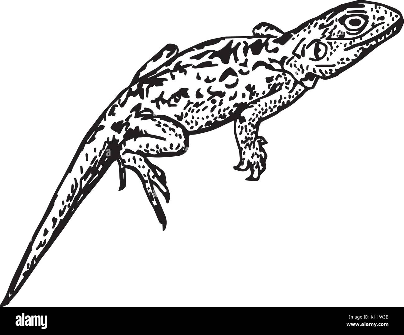 Illustration de lézard Illustration de Vecteur