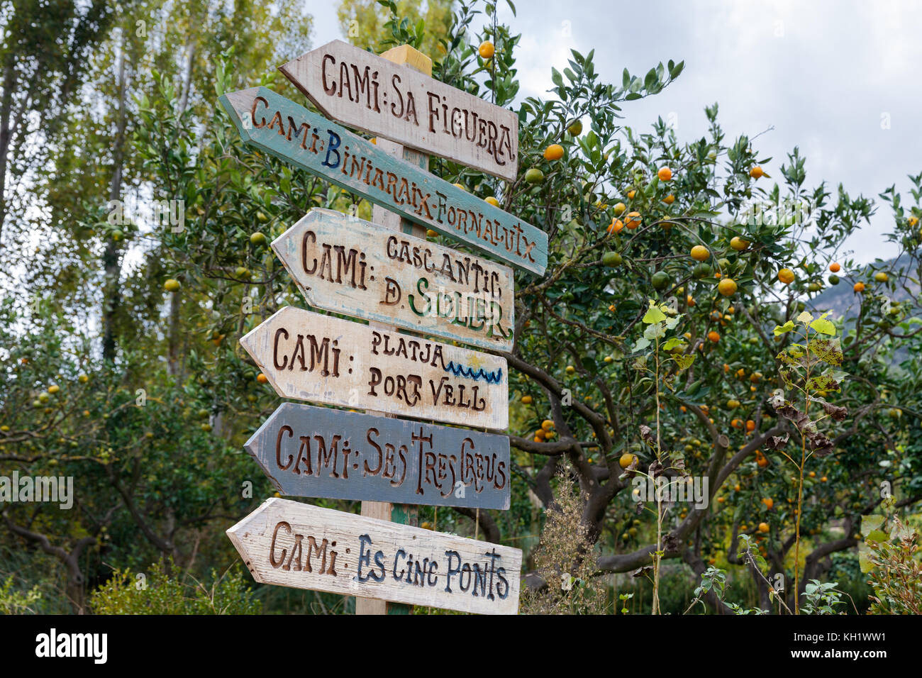 Guide du bois. soller, Serra Tramuntana, Majorque Banque D'Images