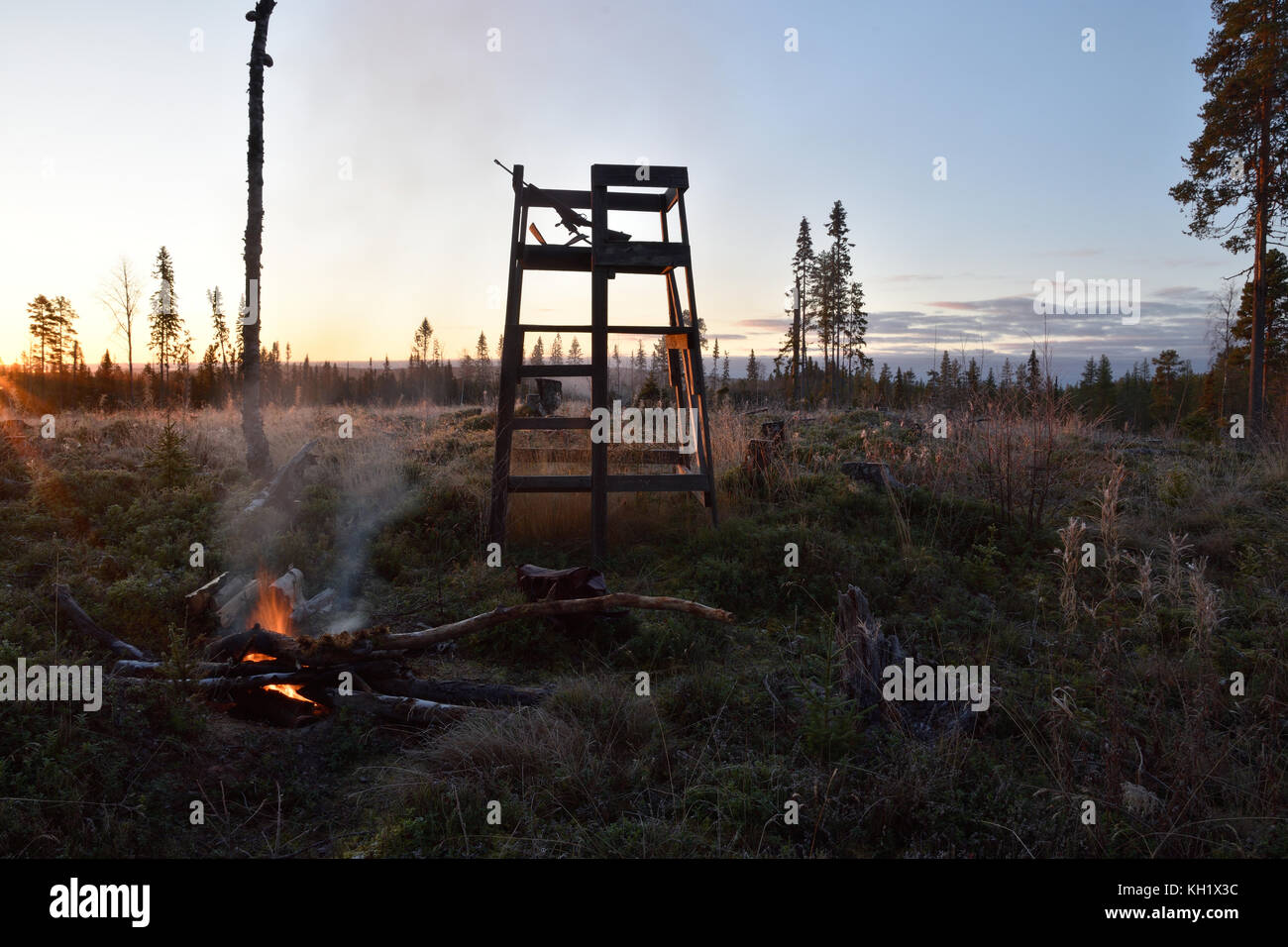 La tour de bois utilisé pour la chasse à l'orignal dans matin lite et avec un petit feu devant elle, photo du nord de la Suède. Banque D'Images