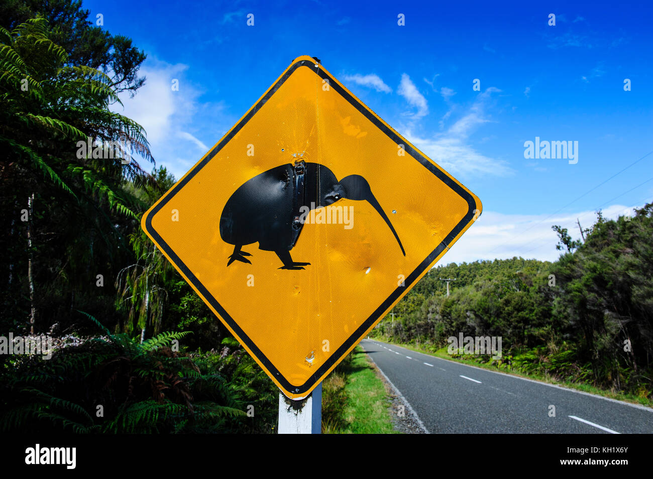 Kiwi panneau d'avertissement le long de la route entre Fox glacier et greymouth, île du Sud, Nouvelle-Zélande Banque D'Images