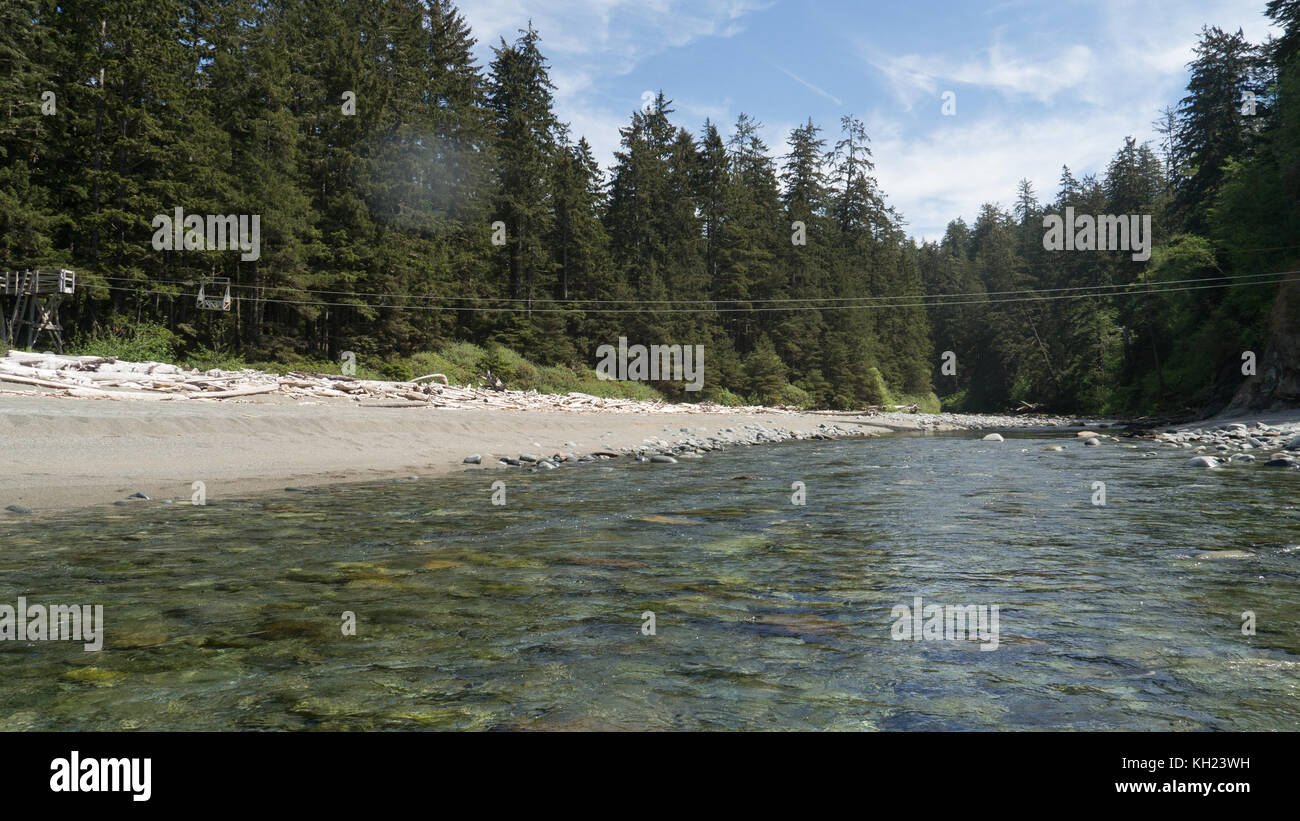 (West Coast Trail, l'île de Vancouver, C.-B., Canada) Banque D'Images