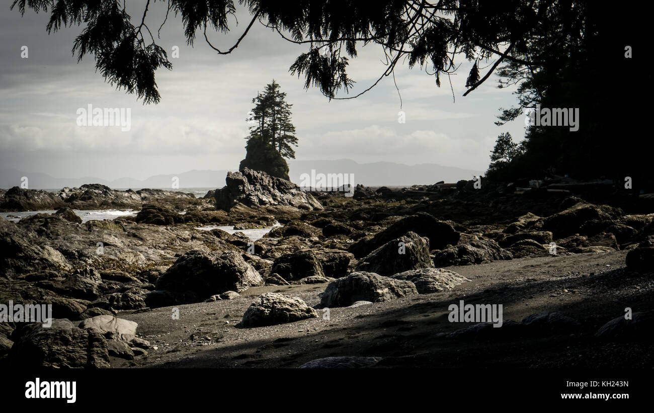 (West Coast Trail, l'île de Vancouver, C.-B., Canada) Banque D'Images