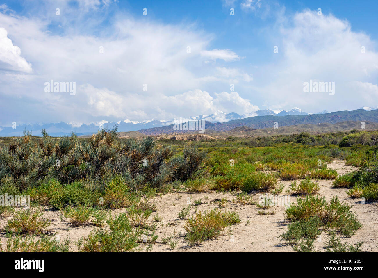 Paysages de montagnes avec le Kirghizistan dans l'horizon Banque D'Images